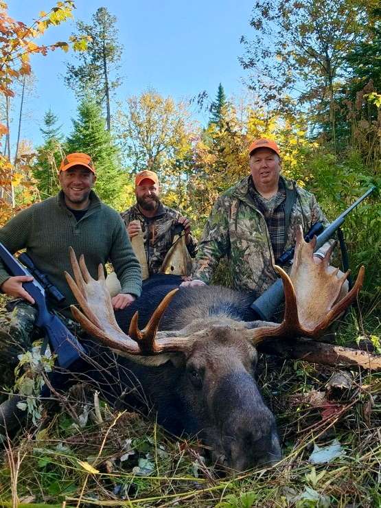 Maine Moose Hunts