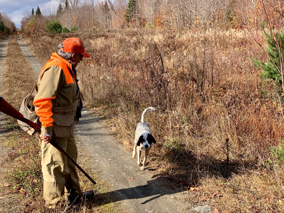 Maine Upland Hunting